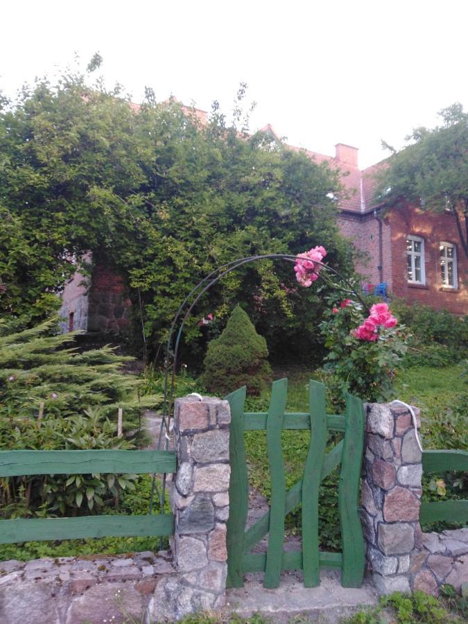 Alte Schule Am See 比斯库佩茨 外观 照片