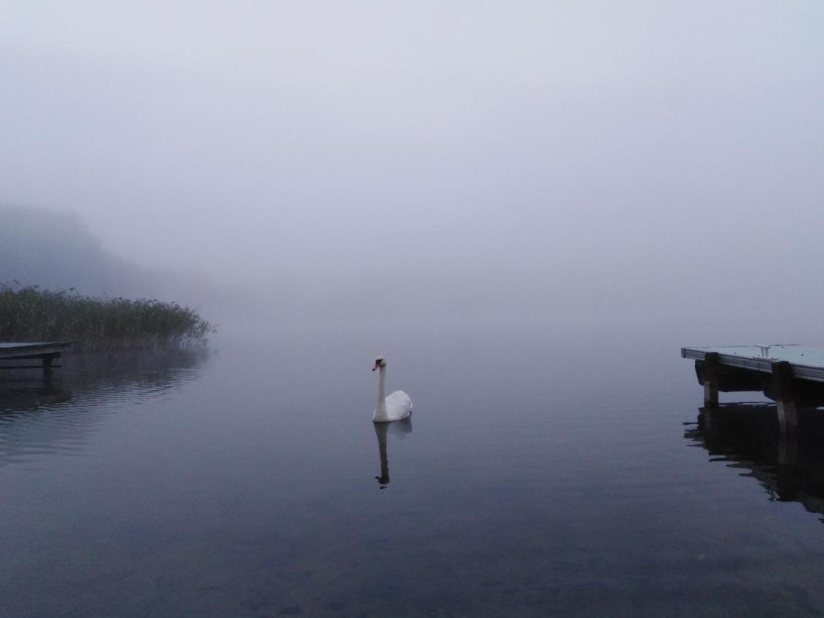 Alte Schule Am See 比斯库佩茨 外观 照片
