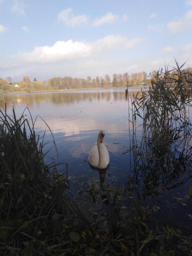Alte Schule Am See 比斯库佩茨 外观 照片
