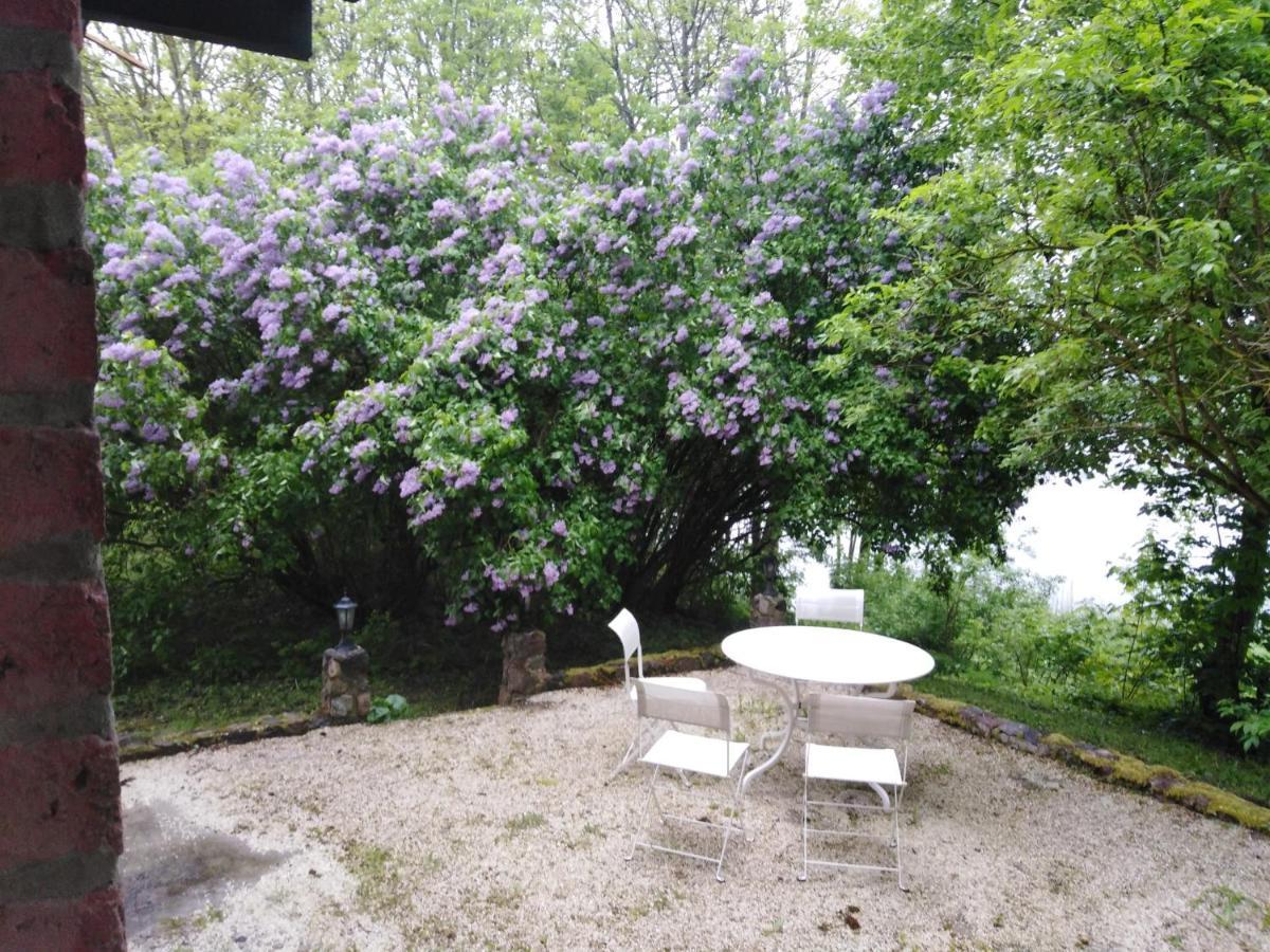 Alte Schule Am See 比斯库佩茨 外观 照片